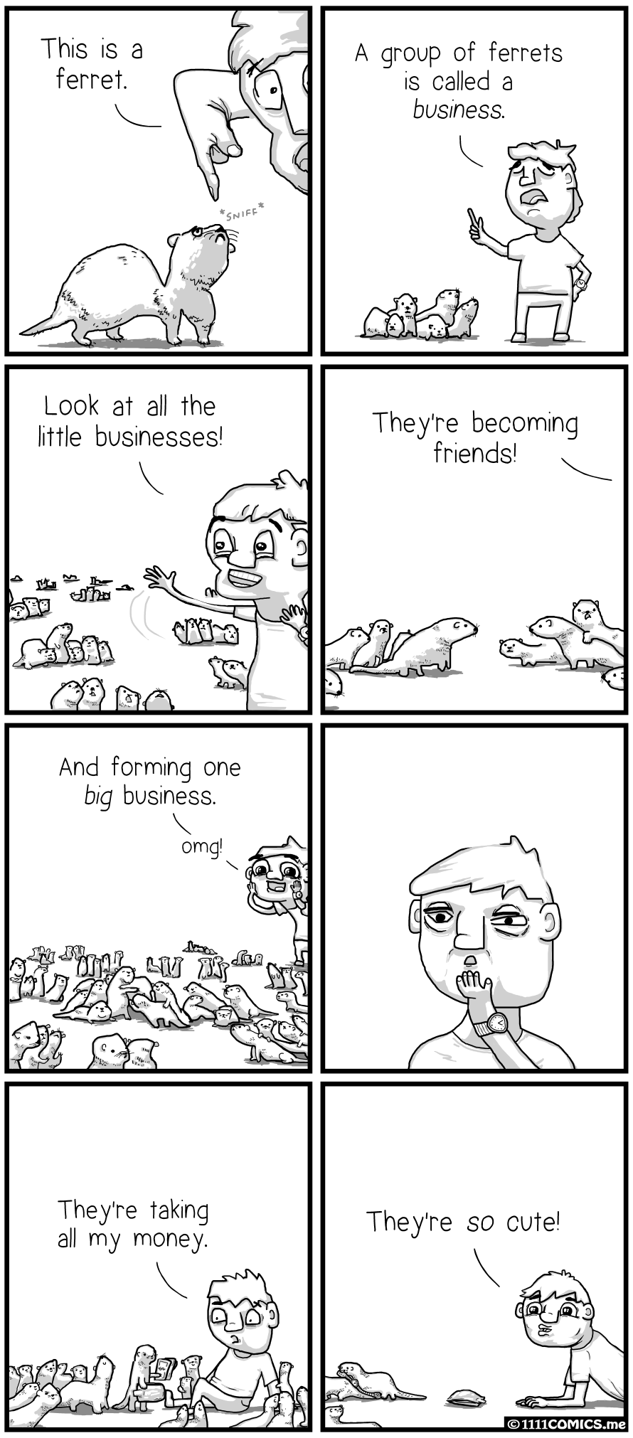 Ferronomics