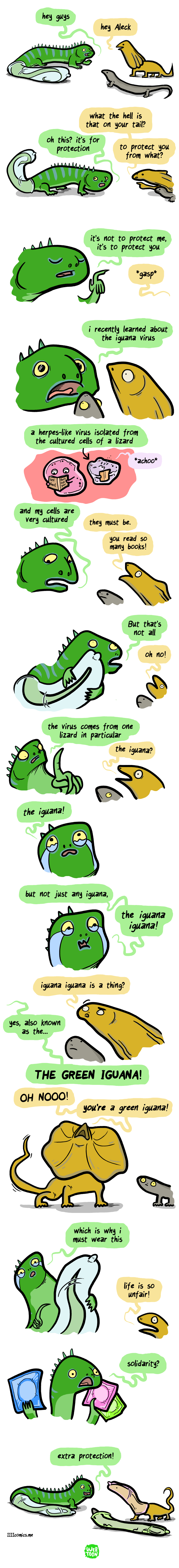 Iguana virus